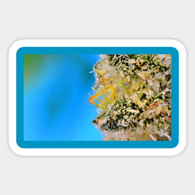 The Blue Bride - Weed Design Sticker by MrGreenGenes420